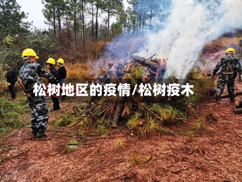 松树地区的疫情/松树疫木