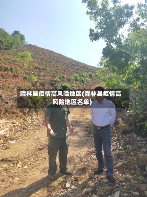 隆林县疫情高风险地区(隆林县疫情高风险地区名单)-第2张图片