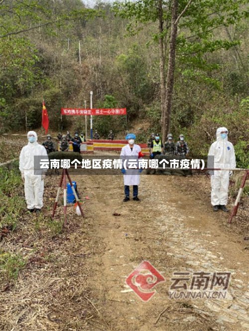 云南哪个地区疫情(云南哪个市疫情)-第2张图片
