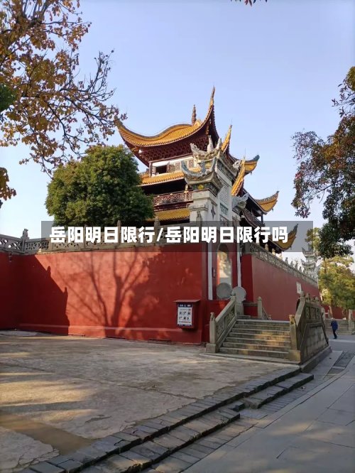 岳阳明日限行/岳阳明日限行吗-第2张图片