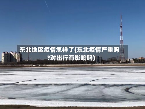 东北地区疫情怎样了(东北疫情严重吗?对出行有影响吗)-第2张图片