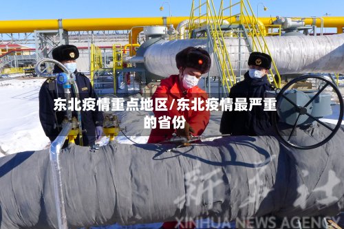 东北疫情重点地区/东北疫情最严重的省份-第2张图片