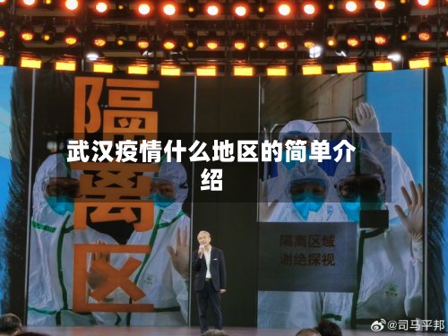 武汉疫情什么地区的简单介绍
