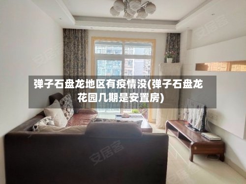弹子石盘龙地区有疫情没(弹子石盘龙花园几期是安置房)