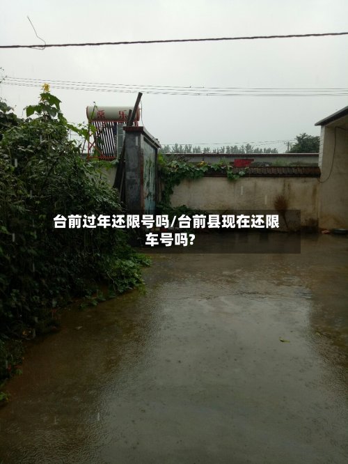 台前过年还限号吗/台前县现在还限车号吗?