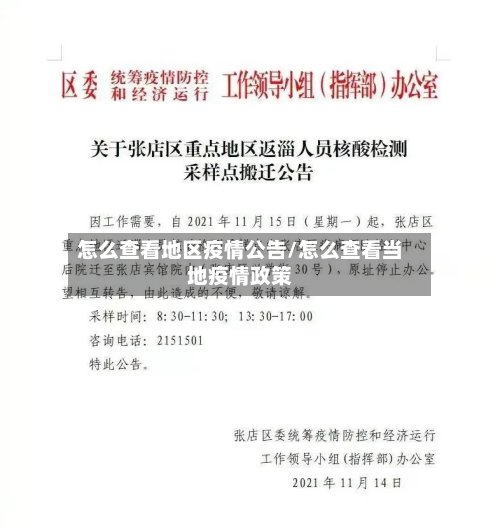 怎么查看地区疫情公告/怎么查看当地疫情政策-第3张图片