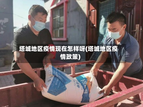 塔城地区疫情现在怎样呀(塔城地区疫情政策)-第3张图片