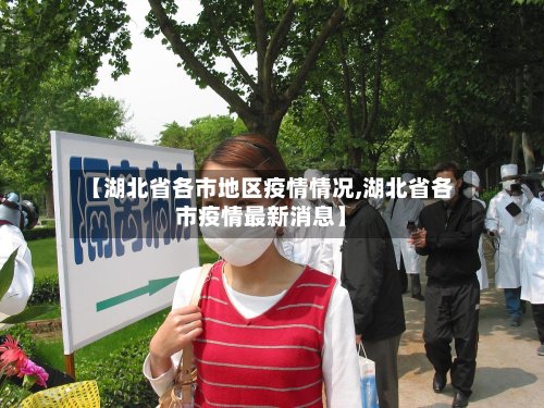 【湖北省各市地区疫情情况,湖北省各市疫情最新消息】-第3张图片