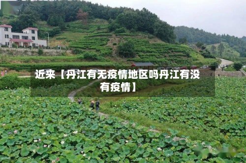 近来【丹江有无疫情地区吗丹江有没有疫情】-第3张图片