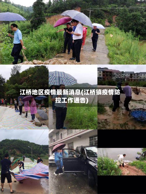 江桥地区疫情最新消息(江桥镇疫情防控工作通告)-第2张图片