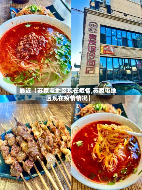 最近【苏家屯地区现在疫情,苏家屯地区现在疫情情况】