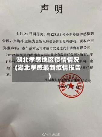 湖北孝感地区疫情情况(湖北孝感最新疫情报告)