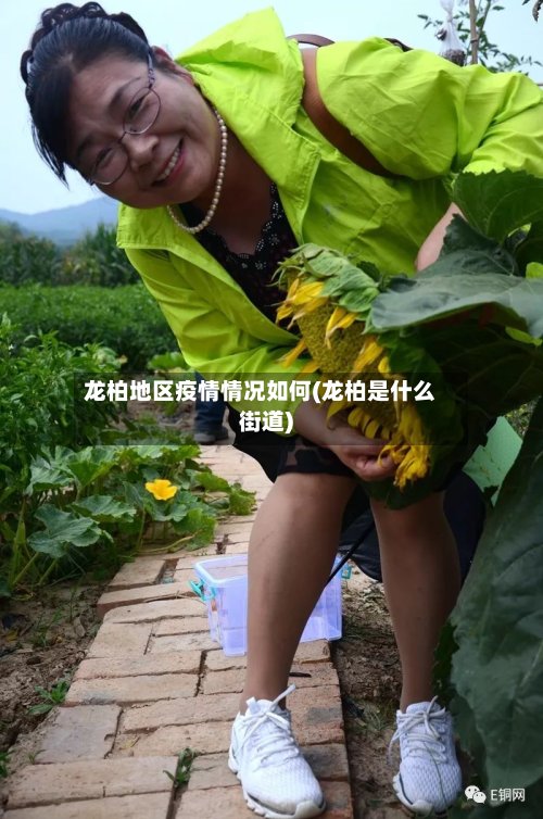 龙柏地区疫情情况如何(龙柏是什么街道)