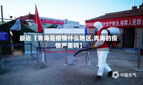 最近【青海是疫情什么地区,青海的疫情严重吗】-第2张图片