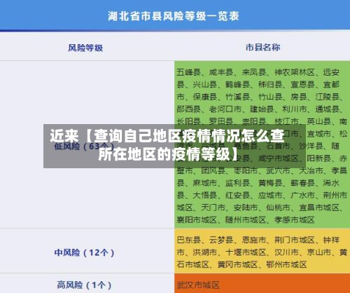 近来【查询自己地区疫情情况怎么查所在地区的疫情等级】-第2张图片