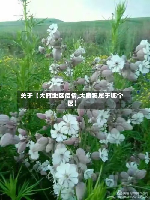 关于【大雁地区疫情,大雁镇属于哪个区】