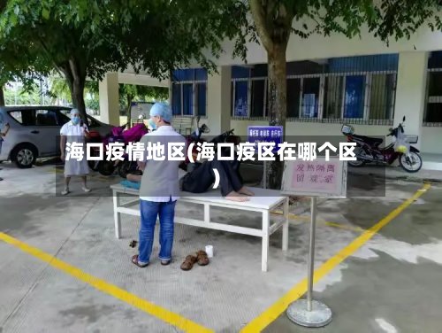 海口疫情地区(海口疫区在哪个区)-第2张图片