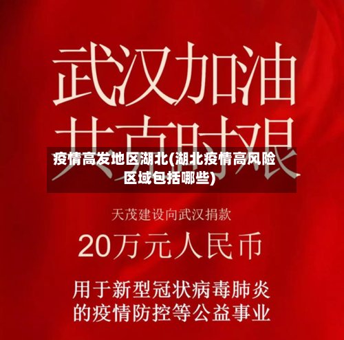 疫情高发地区湖北(湖北疫情高风险区域包括哪些)