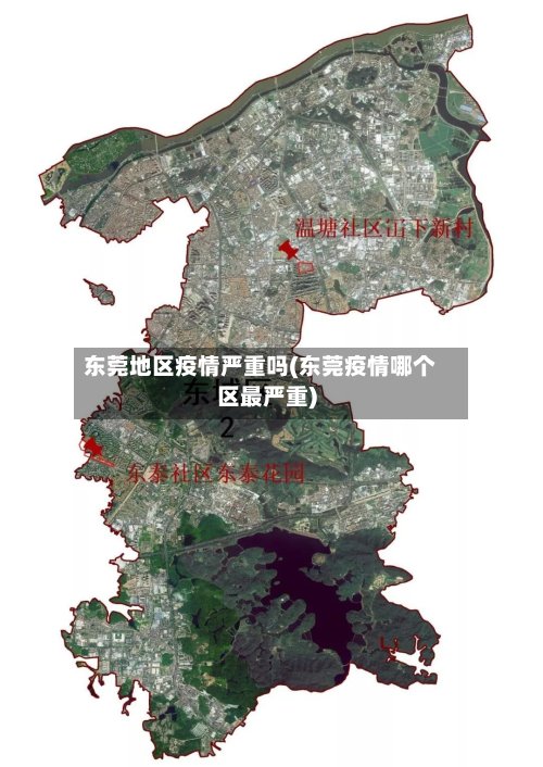 东莞地区疫情严重吗(东莞疫情哪个区最严重)