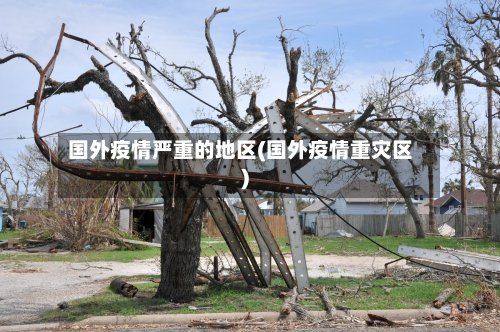 国外疫情严重的地区(国外疫情重灾区)-第2张图片