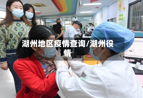 湖州地区疫情查询/湖州役情