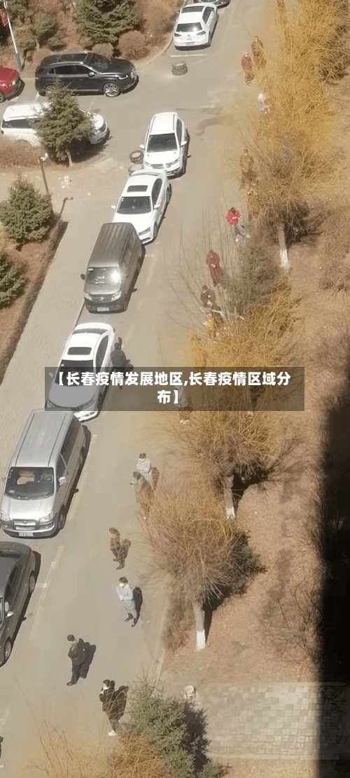 【长春疫情发展地区,长春疫情区域分布】-第3张图片