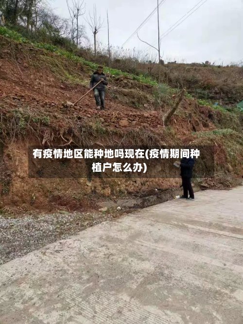 有疫情地区能种地吗现在(疫情期间种植户怎么办)
