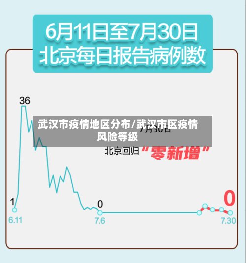 武汉市疫情地区分布/武汉市区疫情风险等级-第2张图片