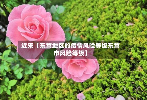 近来【东营地区的疫情风险等级东营市风险等级】