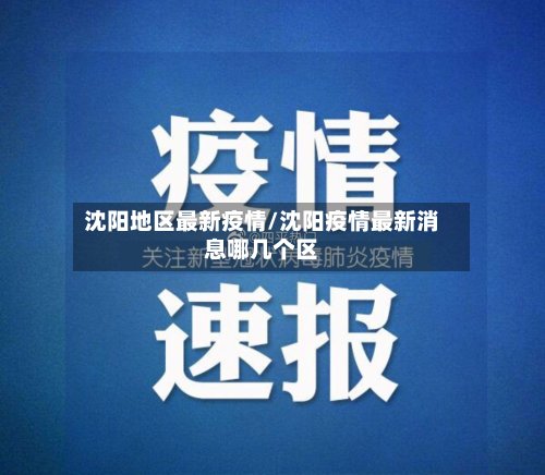 沈阳地区最新疫情/沈阳疫情最新消息哪几个区-第2张图片