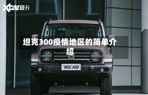 坦克300疫情地区的简单介绍-第3张图片