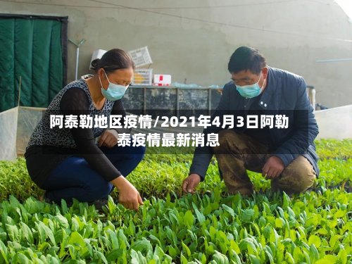 阿泰勒地区疫情/2021年4月3日阿勒泰疫情最新消息-第3张图片