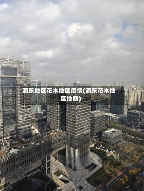 浦东地区花木地区疫情(浦东花木地区地图)