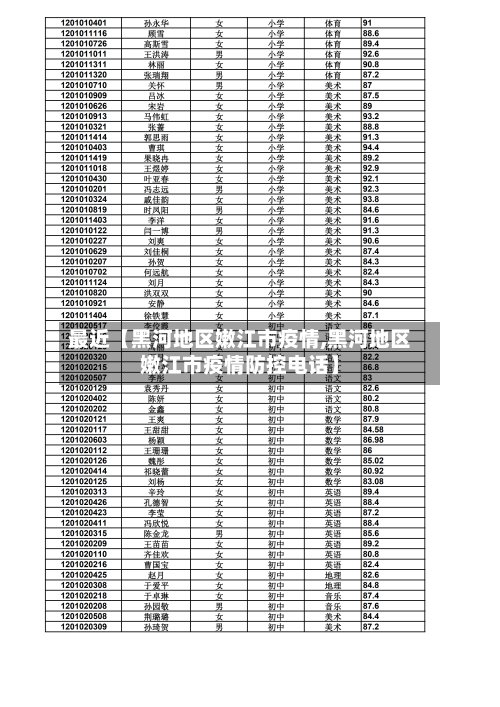 最近【黑河地区嫩江市疫情,黑河地区嫩江市疫情防控电话】-第2张图片