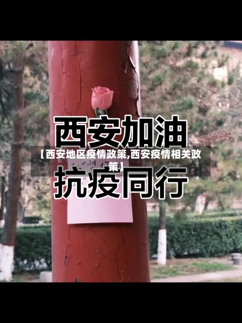 【西安地区疫情政策,西安疫情相关政策】-第3张图片