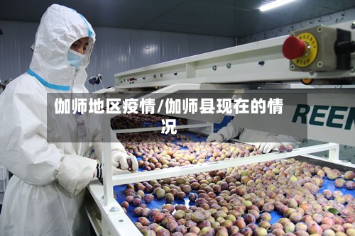 伽师地区疫情/伽师县现在的情况-第2张图片