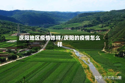 庆阳地区疫情咋样/庆阳的疫情怎么样-第3张图片