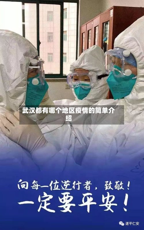 武汉都有哪个地区疫情的简单介绍