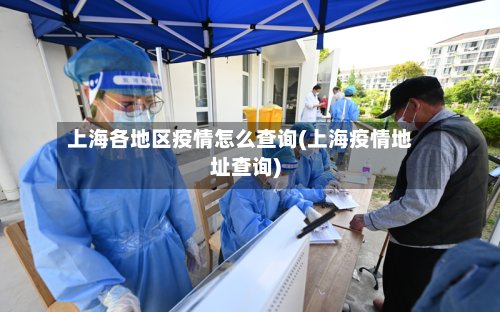 上海各地区疫情怎么查询(上海疫情地址查询)