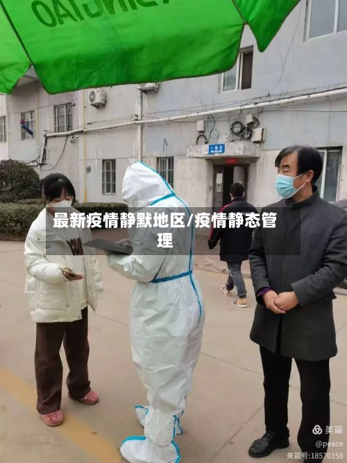 最新疫情静默地区/疫情静态管理-第2张图片