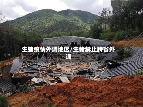 生猪疫情外调地区/生猪禁止跨省外调