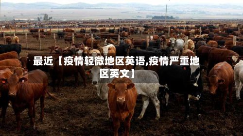 最近【疫情轻微地区英语,疫情严重地区英文】