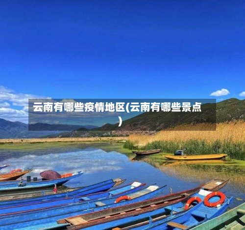 云南有哪些疫情地区(云南有哪些景点)-第3张图片