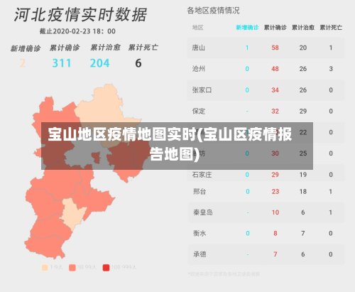 宝山地区疫情地图实时(宝山区疫情报告地图)