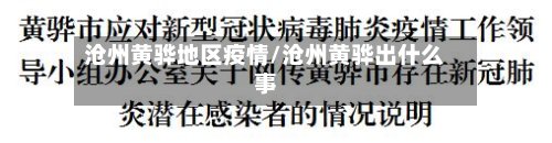 沧州黄骅地区疫情/沧州黄骅出什么事-第2张图片