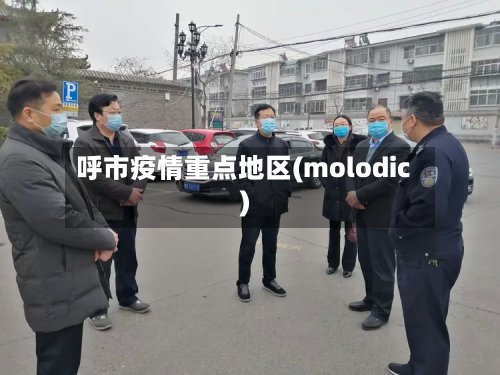 呼市疫情重点地区(molodic)-第2张图片