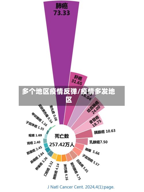 多个地区疫情反弹/疫情多发地区