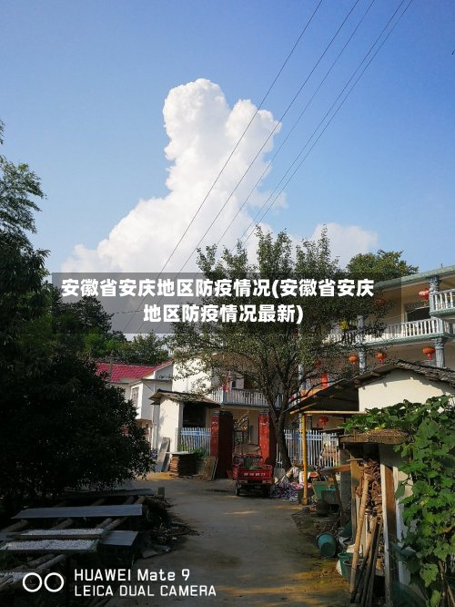 安徽省安庆地区防疫情况(安徽省安庆地区防疫情况最新)