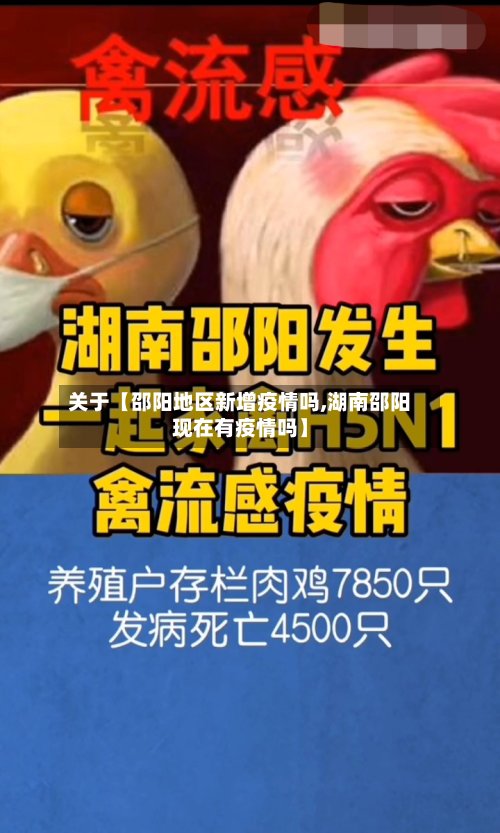 关于【邵阳地区新增疫情吗,湖南邵阳现在有疫情吗】