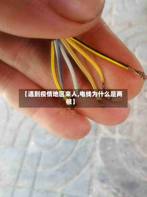 【遇到疫情地区来人,电线为什么是两根】-第3张图片